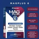 Mag Plus 6 - com 60 cáps Herbamed